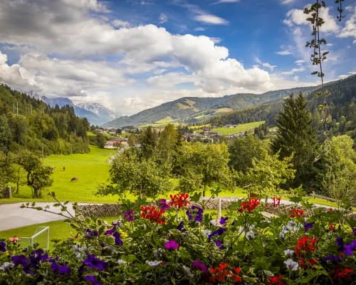 Blick ins Tal
